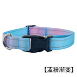 Hands Free Running Dog Leash
