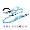 Hands Free Running Dog Leash