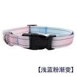 Hands Free Running Dog Leash