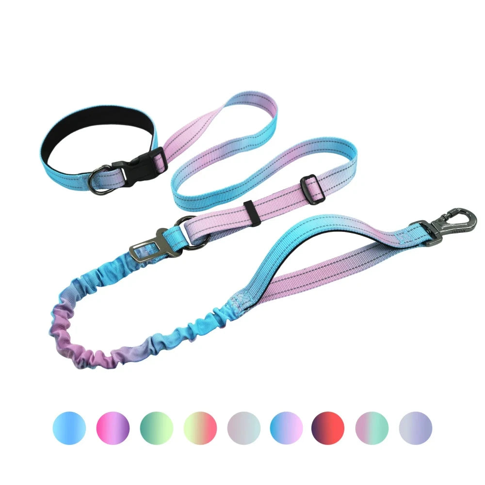 Hands Free Running Dog Leash