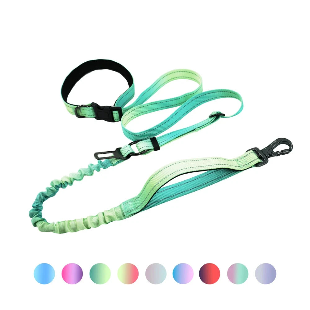 Hands Free Running Dog Leash
