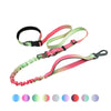 Hands Free Running Dog Leash