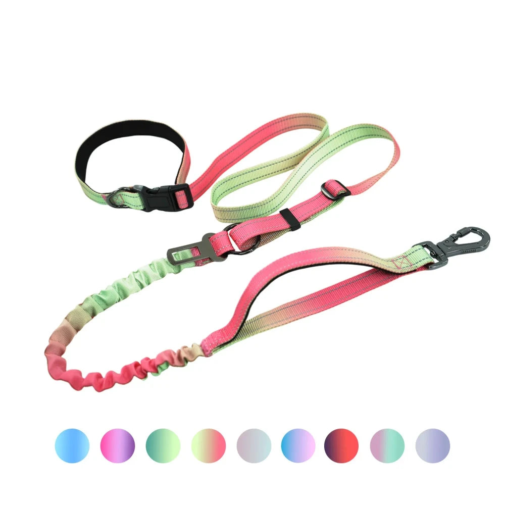Hands Free Running Dog Leash