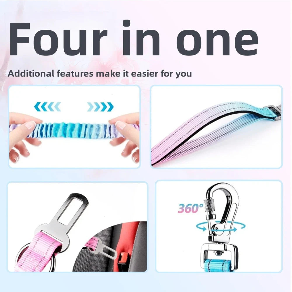 Hands Free Running Dog Leash