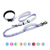 Hands Free Running Dog Leash