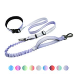 Hands Free Running Dog Leash