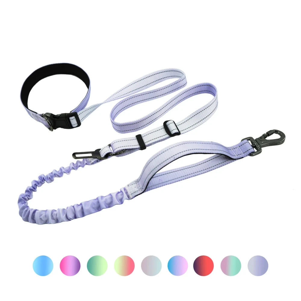 Hands Free Running Dog Leash