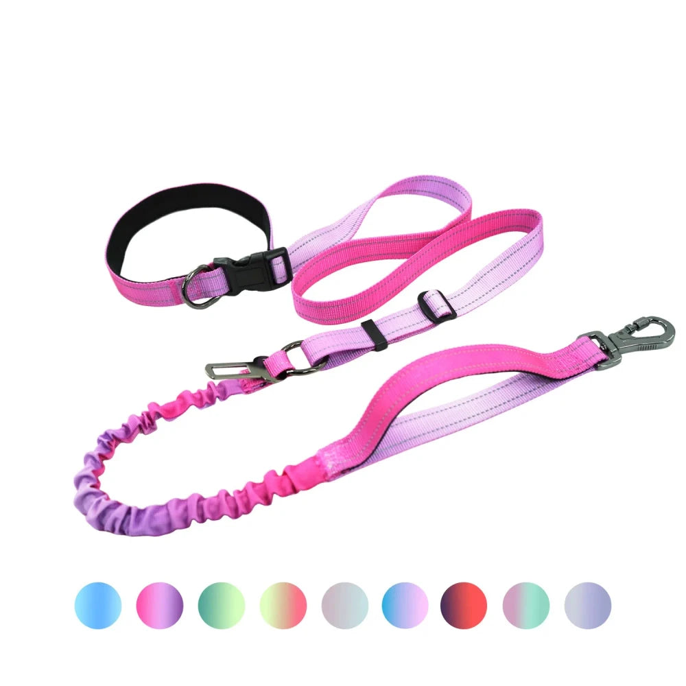 Hands Free Running Dog Leash