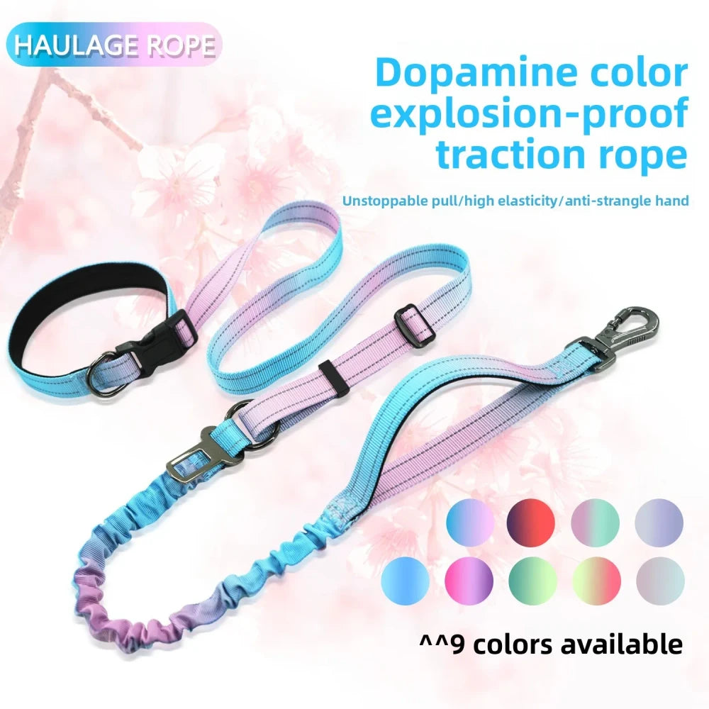 Hands Free Running Dog Leash