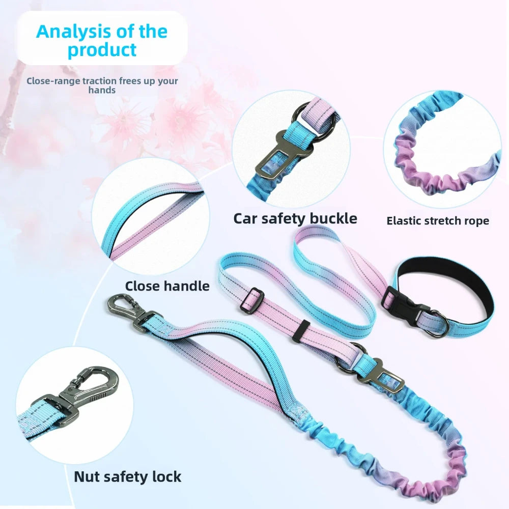 Hands Free Running Dog Leash