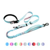 Hands Free Running Dog Leash