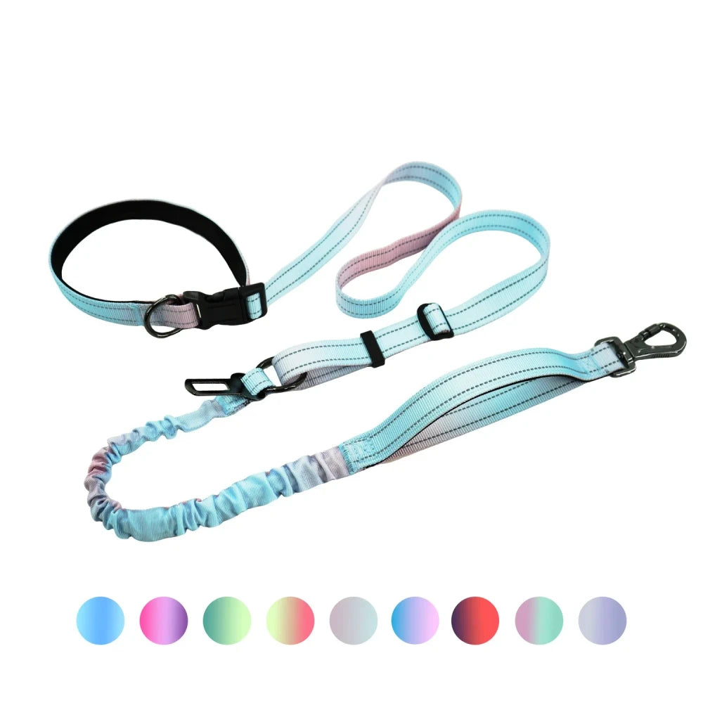 Hands Free Running Dog Leash